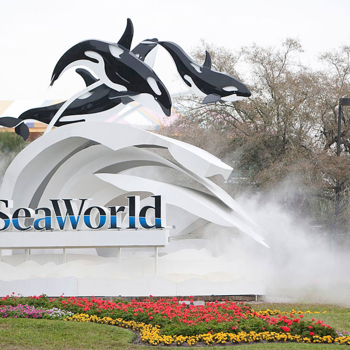 W entrega entradas a Seaworld, Busch Gardens y Aquatica en Orlando: inscríbase aquí