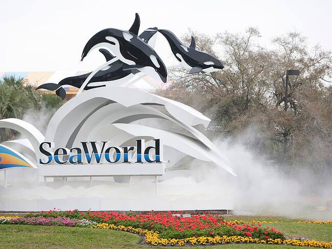 SeaWorld, Orlando, Florida. (Photo by Matt Stroshane/Getty Images)