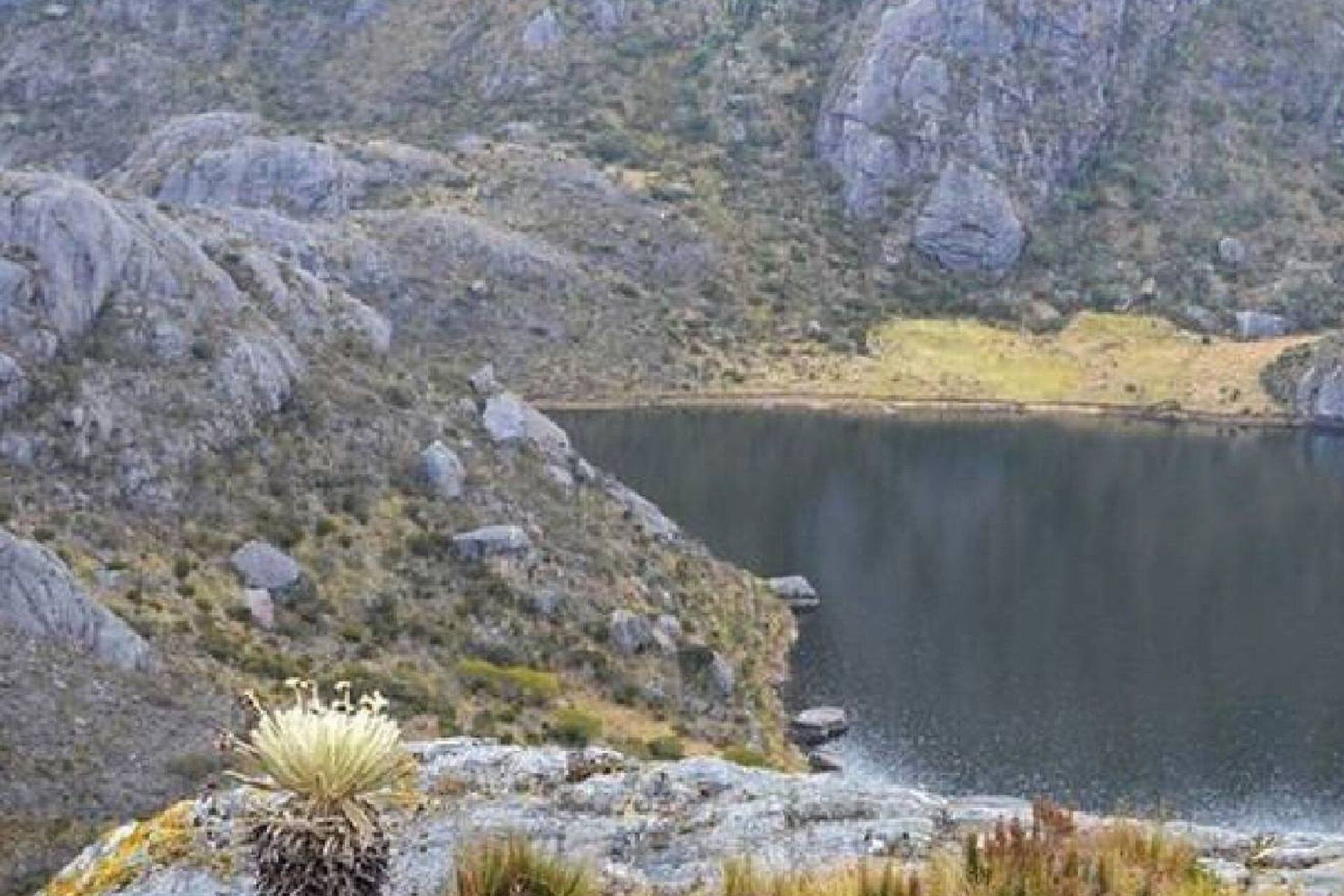 Páramo de Santurbán. Foto: W Radio- Melissa Múnera