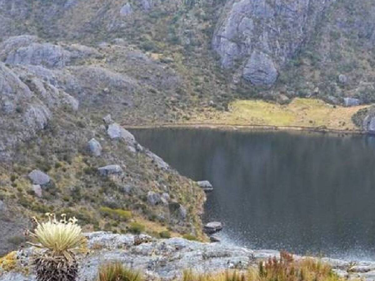 Aprueban recursos para comprar predios con el fin de proteger Páramo de Santurbán