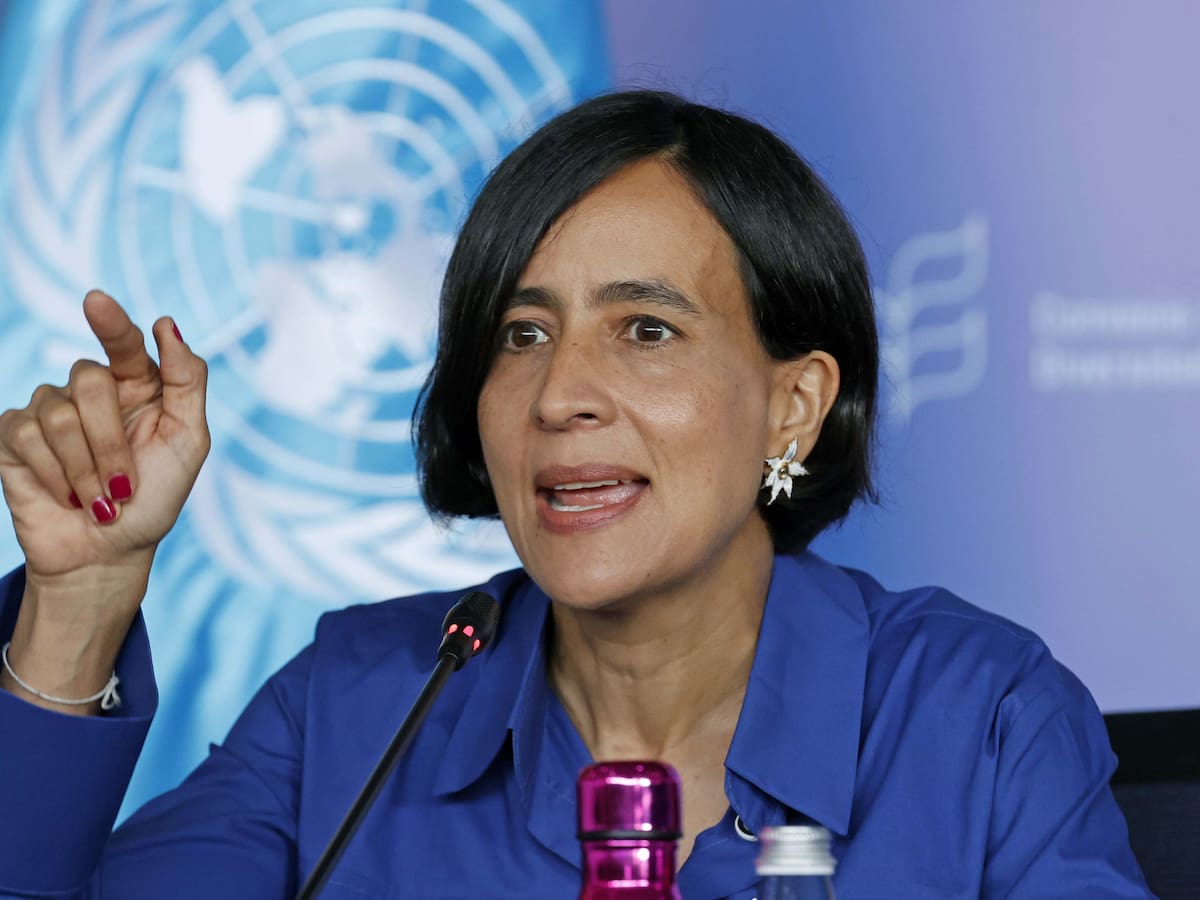 Colombia lidera transición climática, pero necesitamos un compromiso global: MinAmbiente