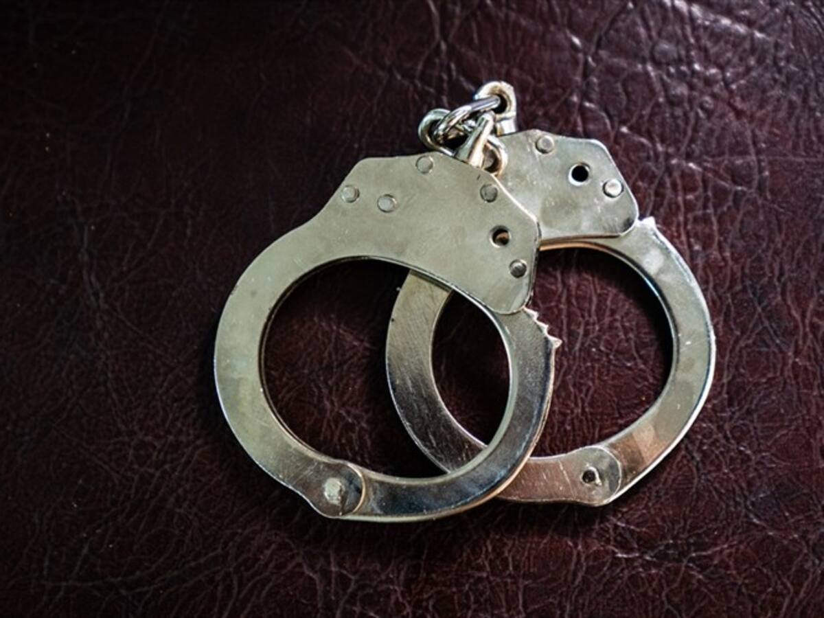 Autoridades desarticulan banda ‘Los bichos’ dedicada a la expedición falsa de documentos