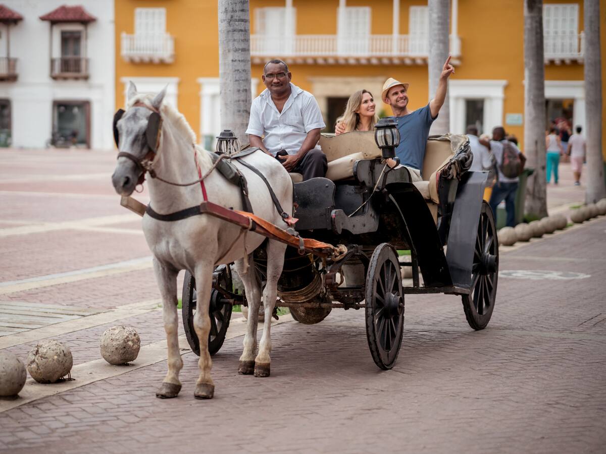 Tribunal puso en cintura a los cocheros turísticos en Cartagena: ordenó proteger caballos