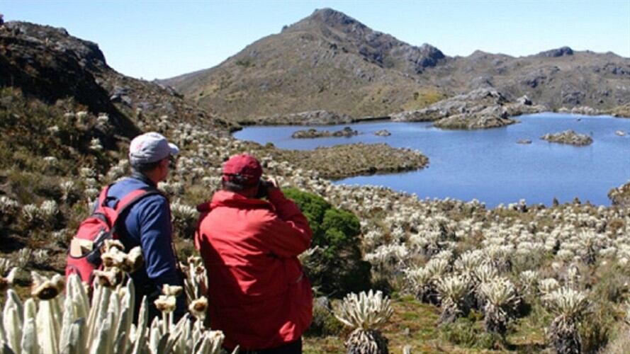 Páramo de Santurbán. Foto: