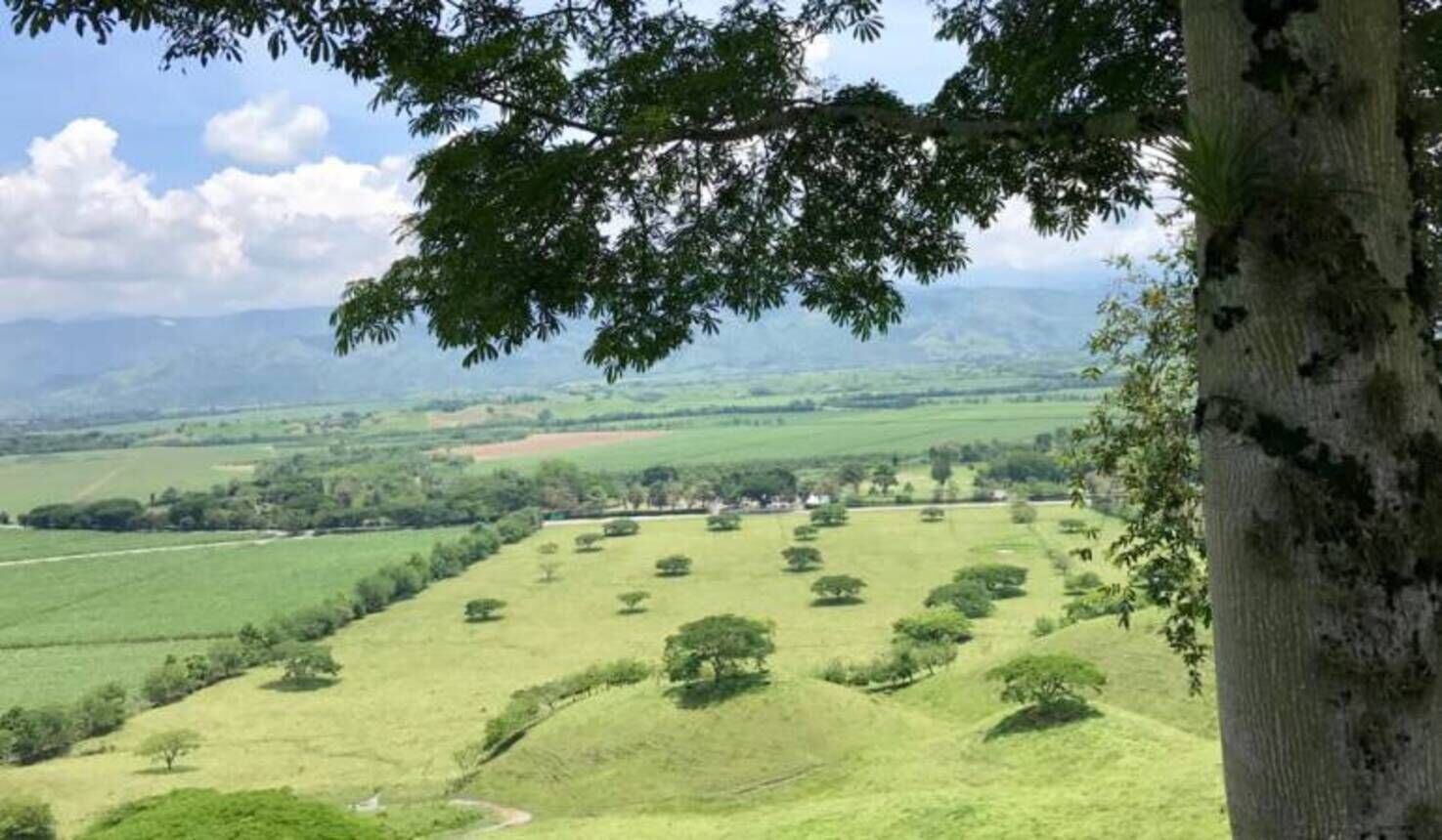 Tres predios de Risaralda deben ser desalojados / Foto: Gobernación de Risaralda