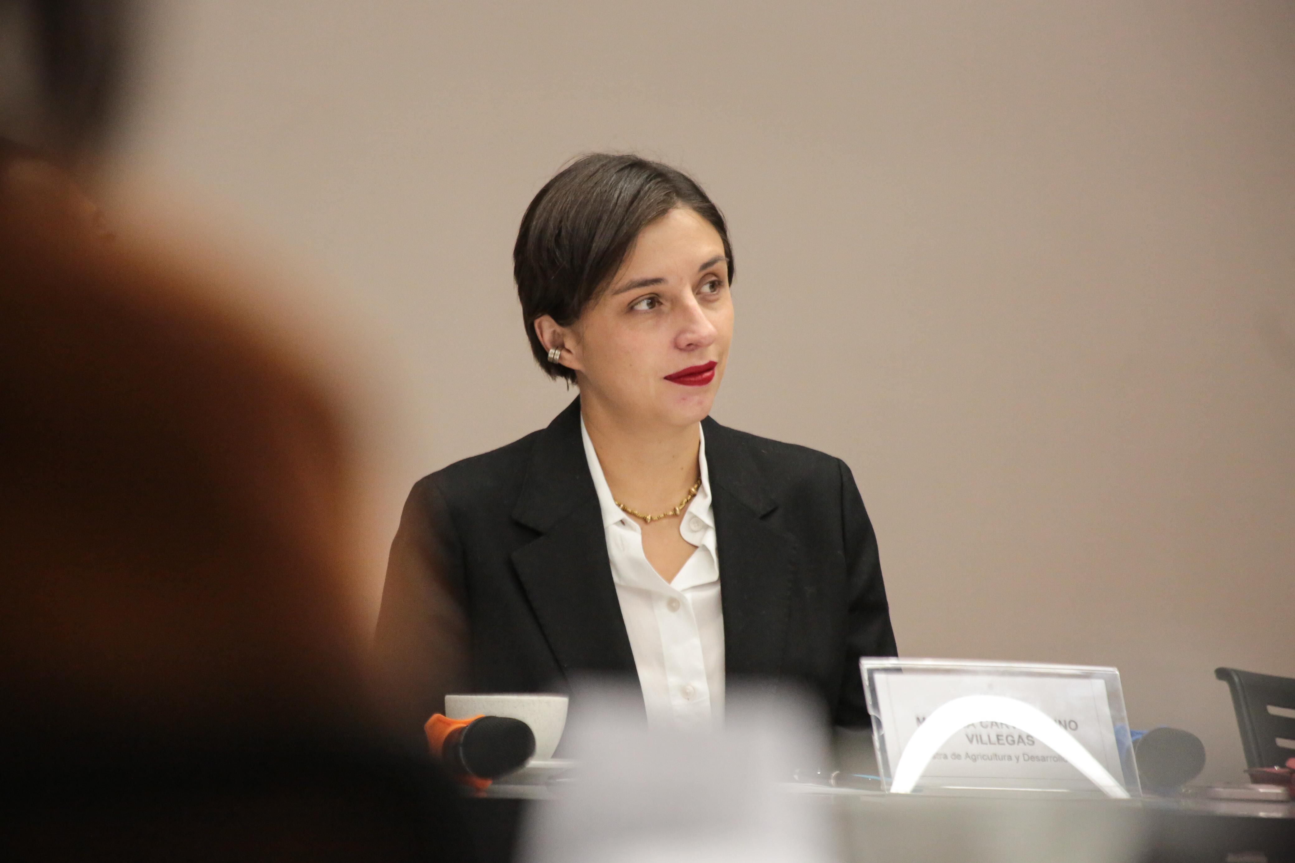 Martha Carvajalino, ministra de Agricultura. Foto: prensa MinAgricultura.