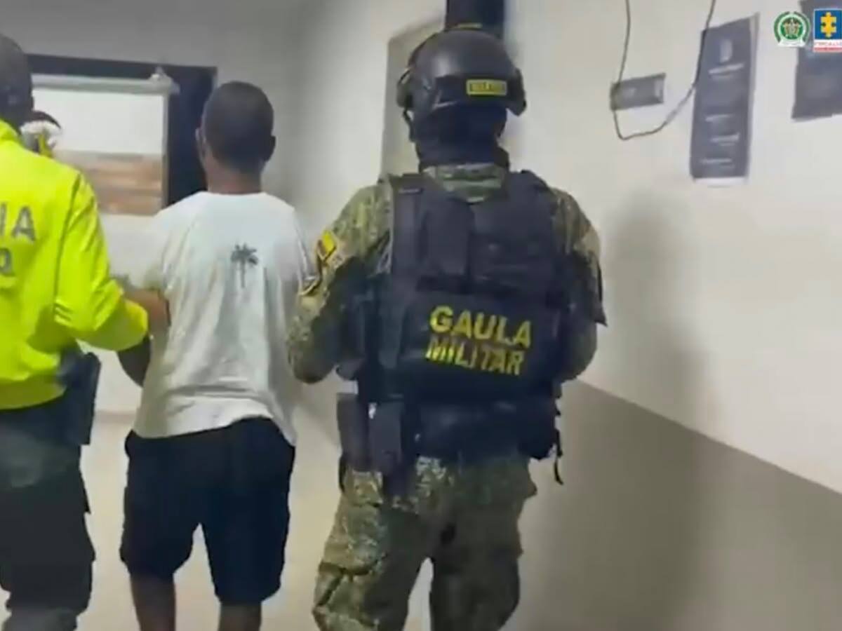 Detienen a un hombre por almacenar más de 4.200 aletas de tiburón para venderlas en el exterior