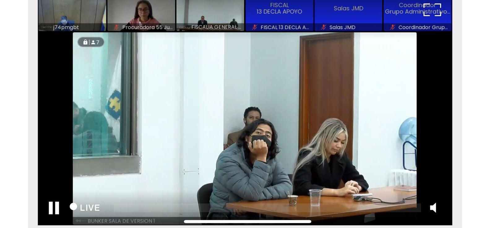 Audiencia de Nicolás Petro y Day Vásquez. Foto: Captura de pantalla.