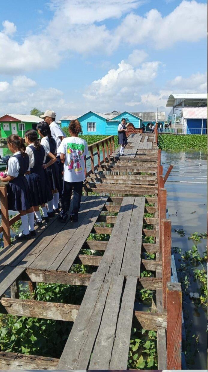 Puente usado por estudiantes en Nueva Venecia/  Mangle mi huella verde
