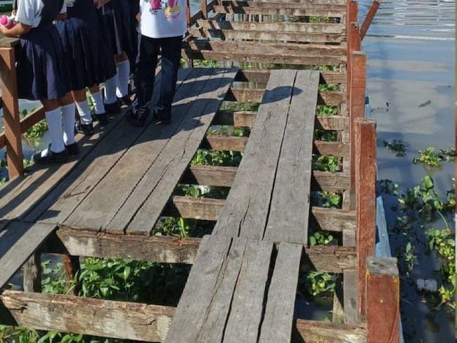 Puente usado por estudiantes en Nueva Venecia/  Mangle mi huella verde