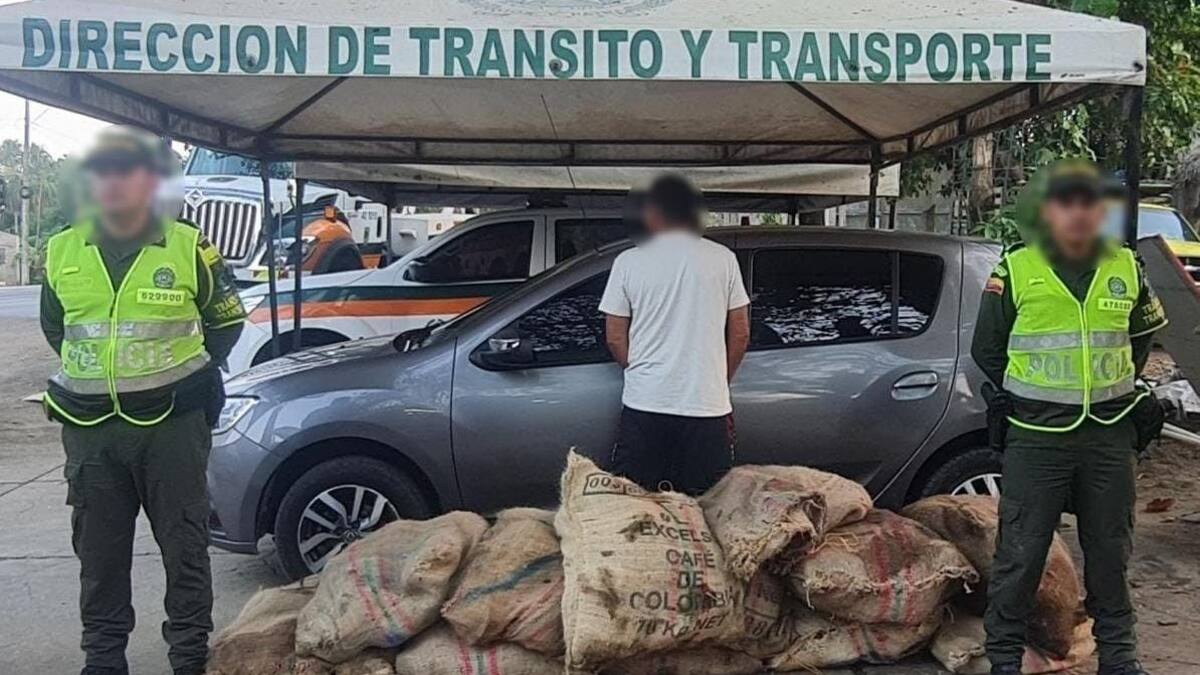 Incautan cerca de 300 hicoteas que iban a ser sacrificadas en Córdoba