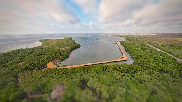 Ciénaga de Mallorquín. Foto: Colprensa