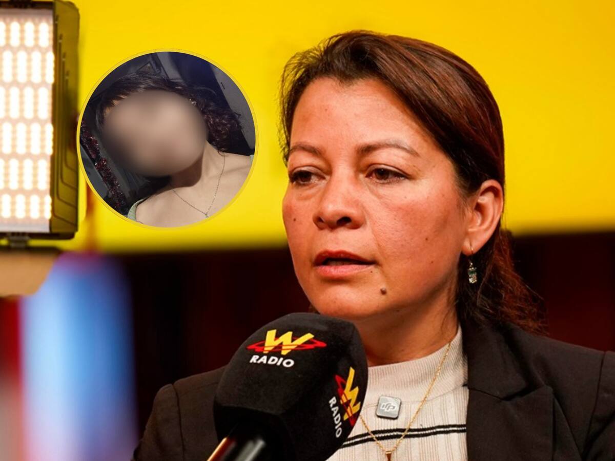 ¿Dónde está Ayelén Sofía Páez? La menor desapareció en Chapinero, Bogotá