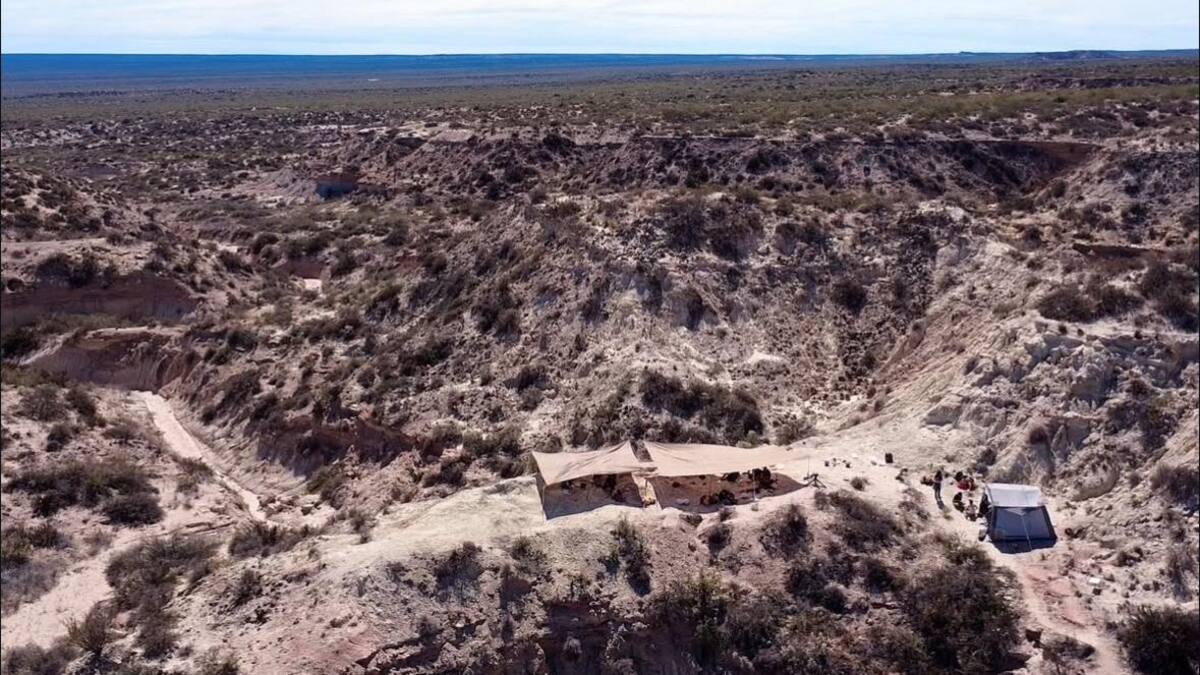 “Es una alegría inmensa”: paleontóloga Ana Moreno sobre su descubrimiento de un dinosaurio