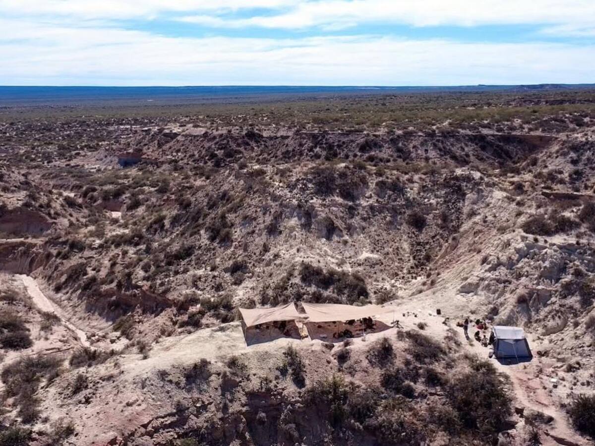 “Es una alegría inmensa”: paleontóloga Ana Moreno sobre el descubrimiento de dinosaurio