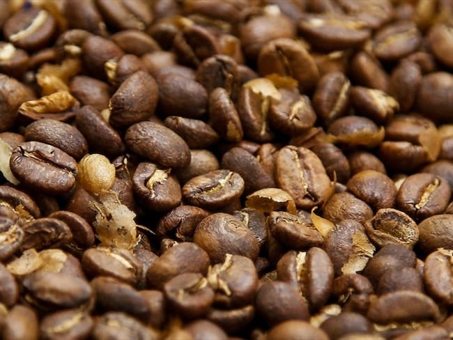 Preocupación en gremio cafetero por la importación de café