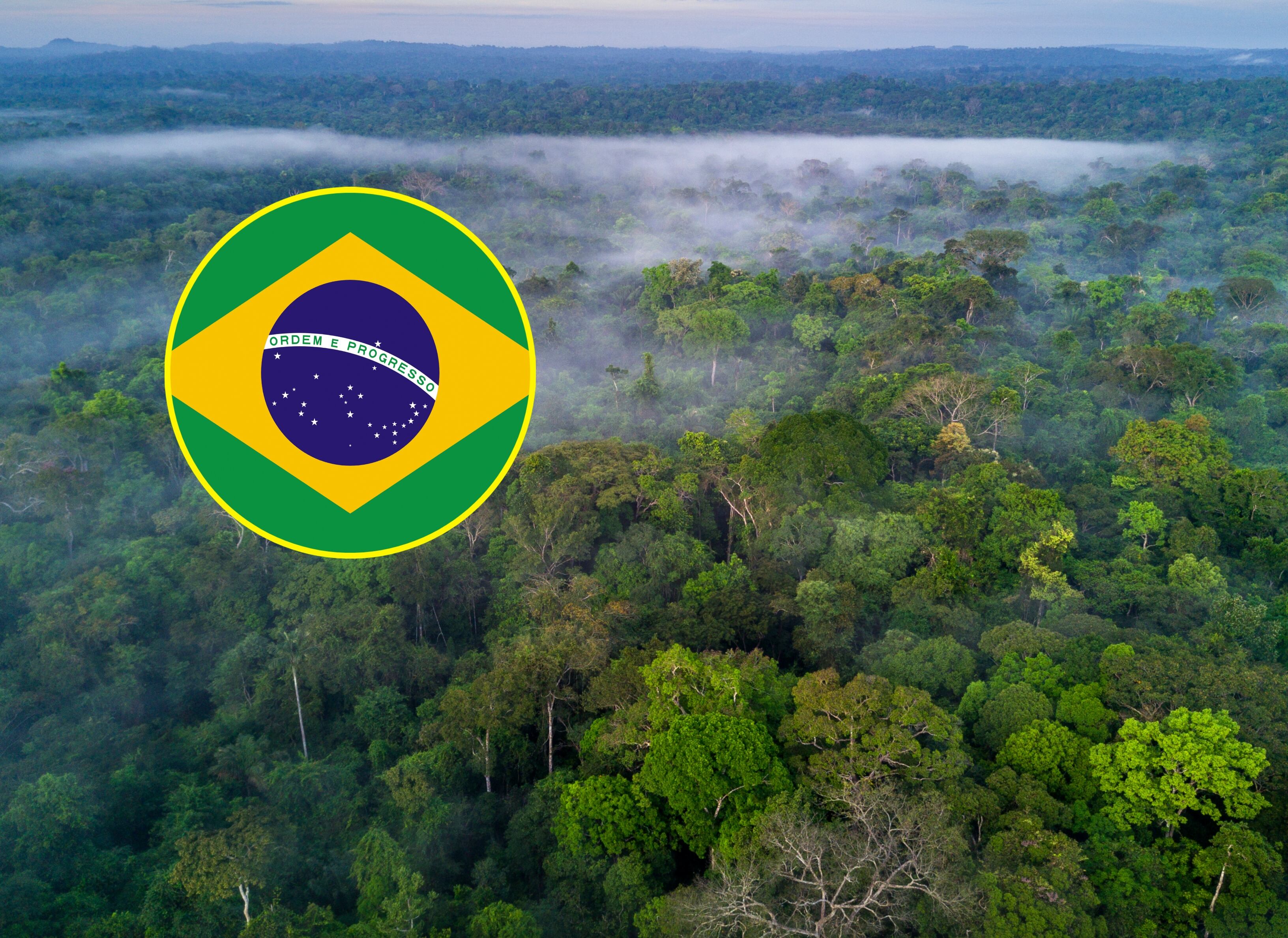 Amazonía brasilera. FOTO: Getty Images