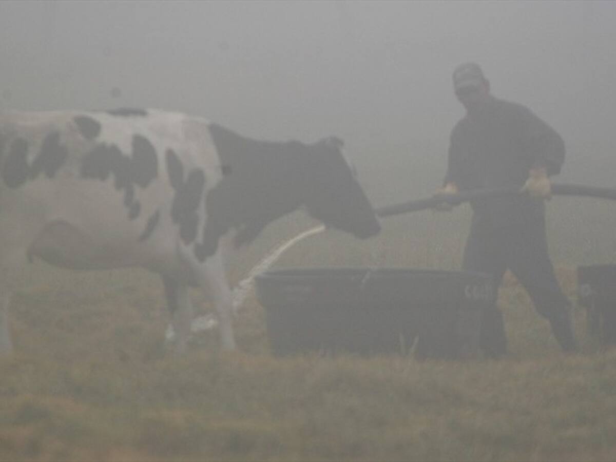 Se logró millonario convenio para atender a agricultores afectados por heladas en Colombia
