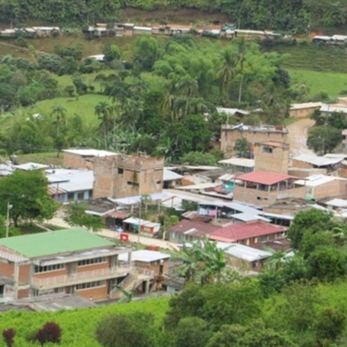 Después de 23 días el Municipio López de Micay volvió a tener servicio de energía