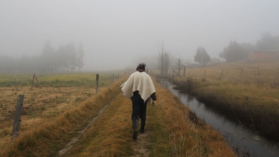 Minagricultura anunció más ayudas para agricultores de Cundinamarca afectados por variaciones climáticas. Foto: Colprensa