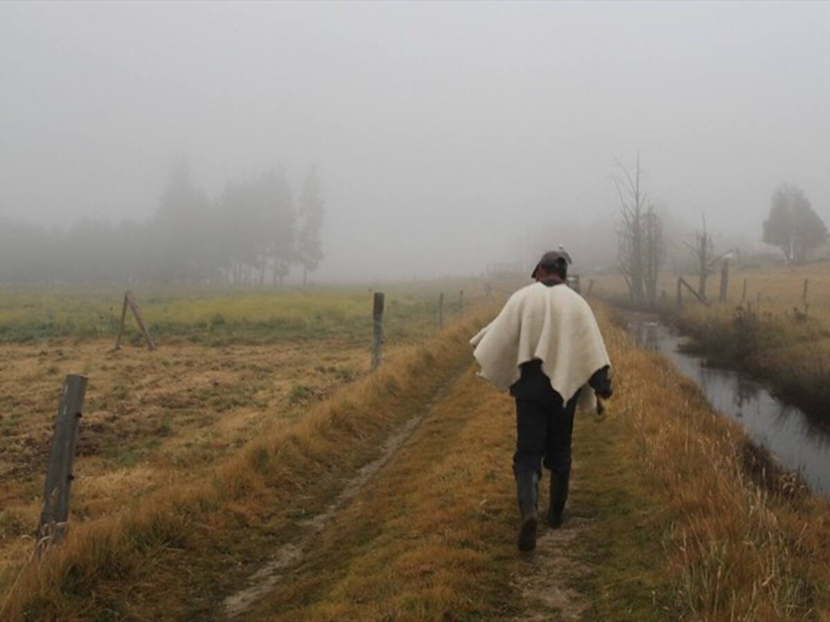 Minagricultura anunció más ayudas para agricultores de Cundinamarca afectados por variaciones climáticas