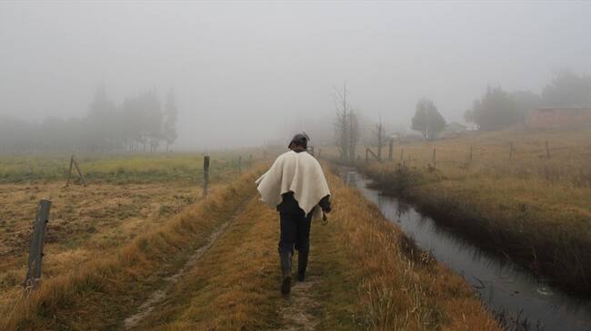 Minagricultura anunció más ayudas para agricultores de Cundinamarca afectados por variaciones climáticas. Foto: Colprensa