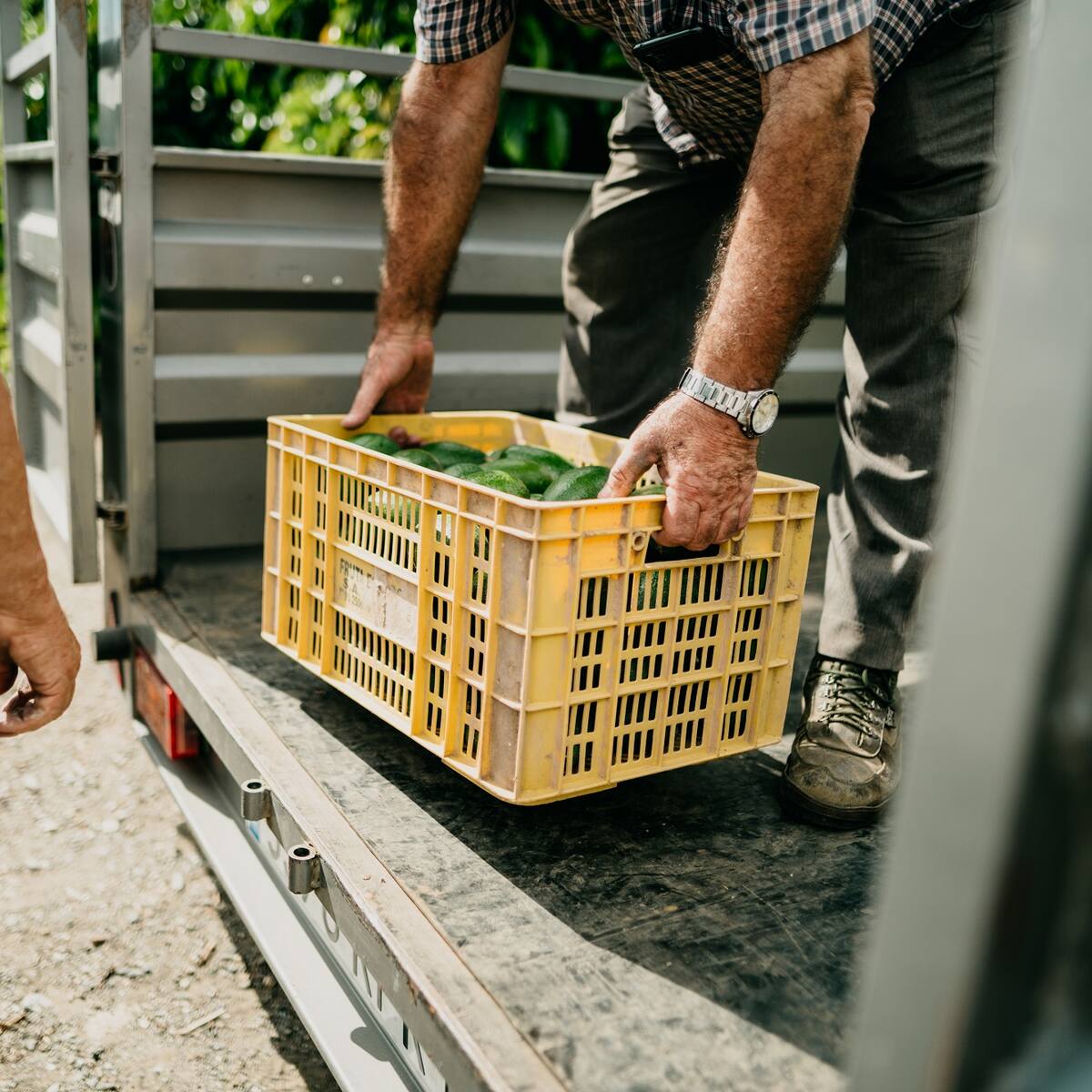 Atentados y paro armado convocados por el ELN agravará la carestía de alimentos en Colombia: gremios