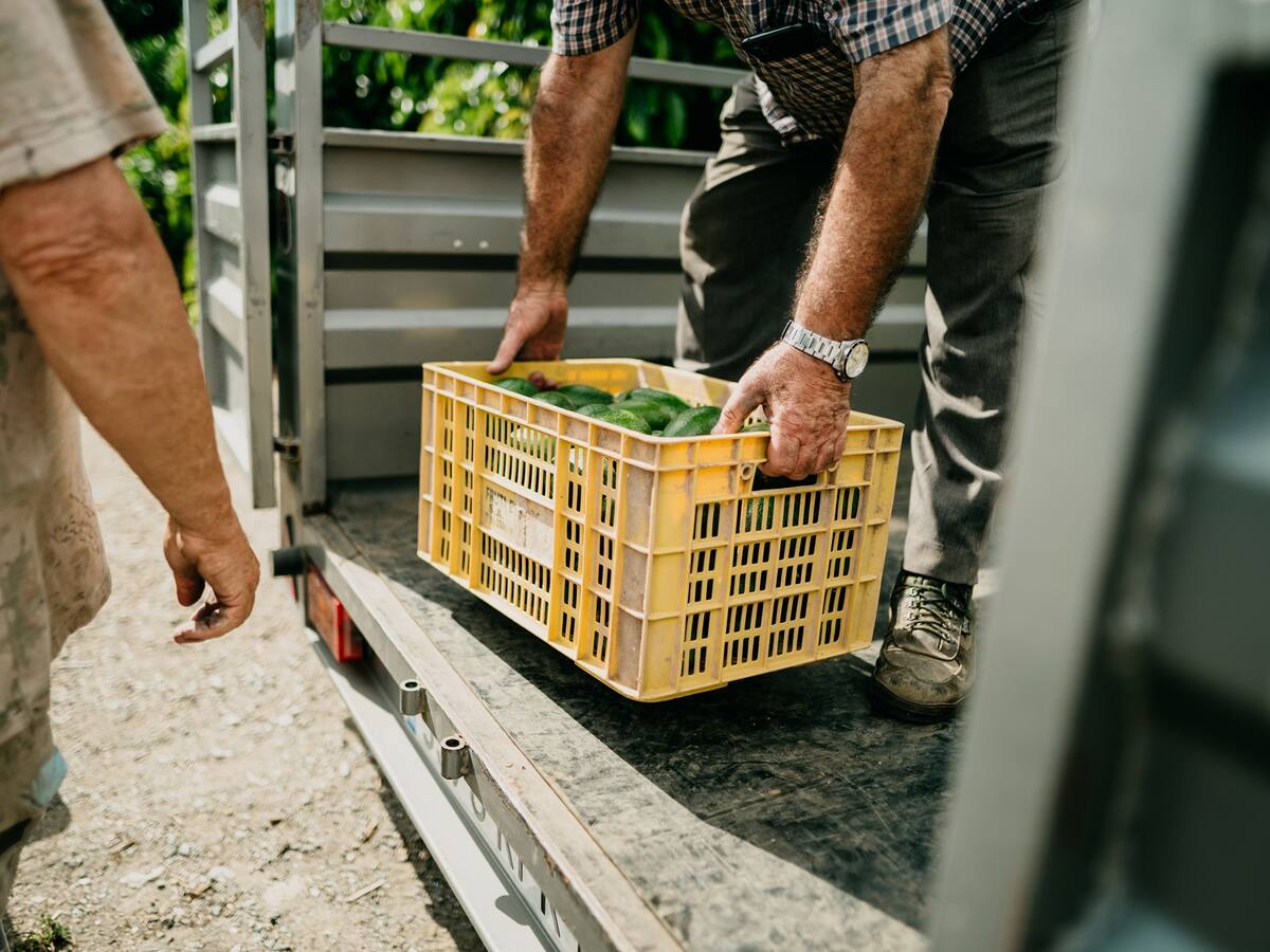 Atentados y paro armado convocados por el ELN agravará la carestía de alimentos en Colombia: gremios