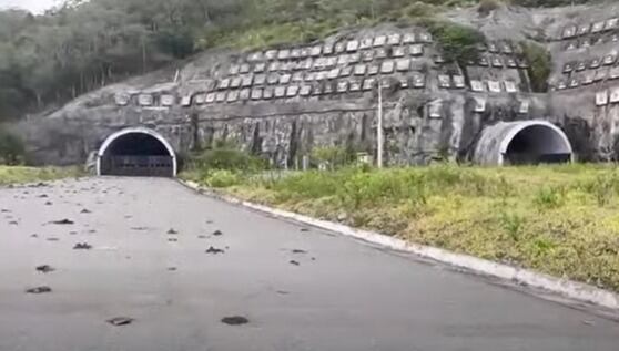 Captura video W Radio