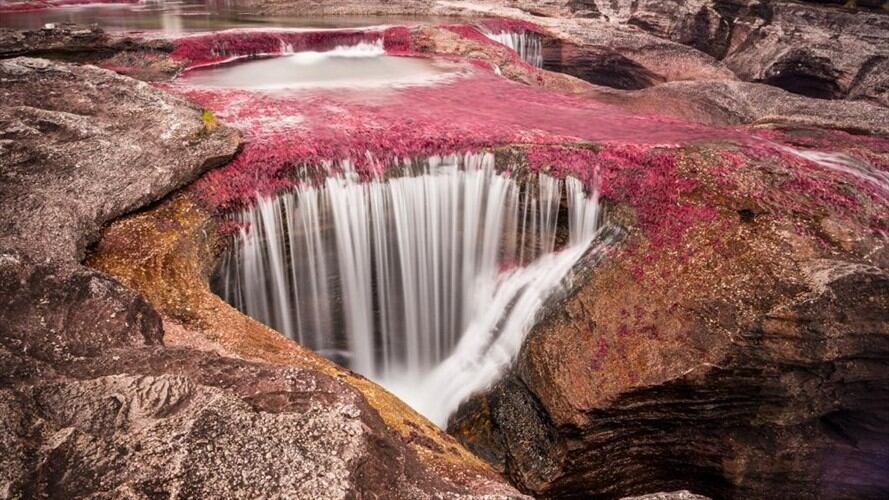 El Río de los Siete Colores cuenta con 10 senderos ecoturísticos compartidos y administrados por las dos autoridades ambientales. Foto: Caño Cristales - Ministerio de Comercio