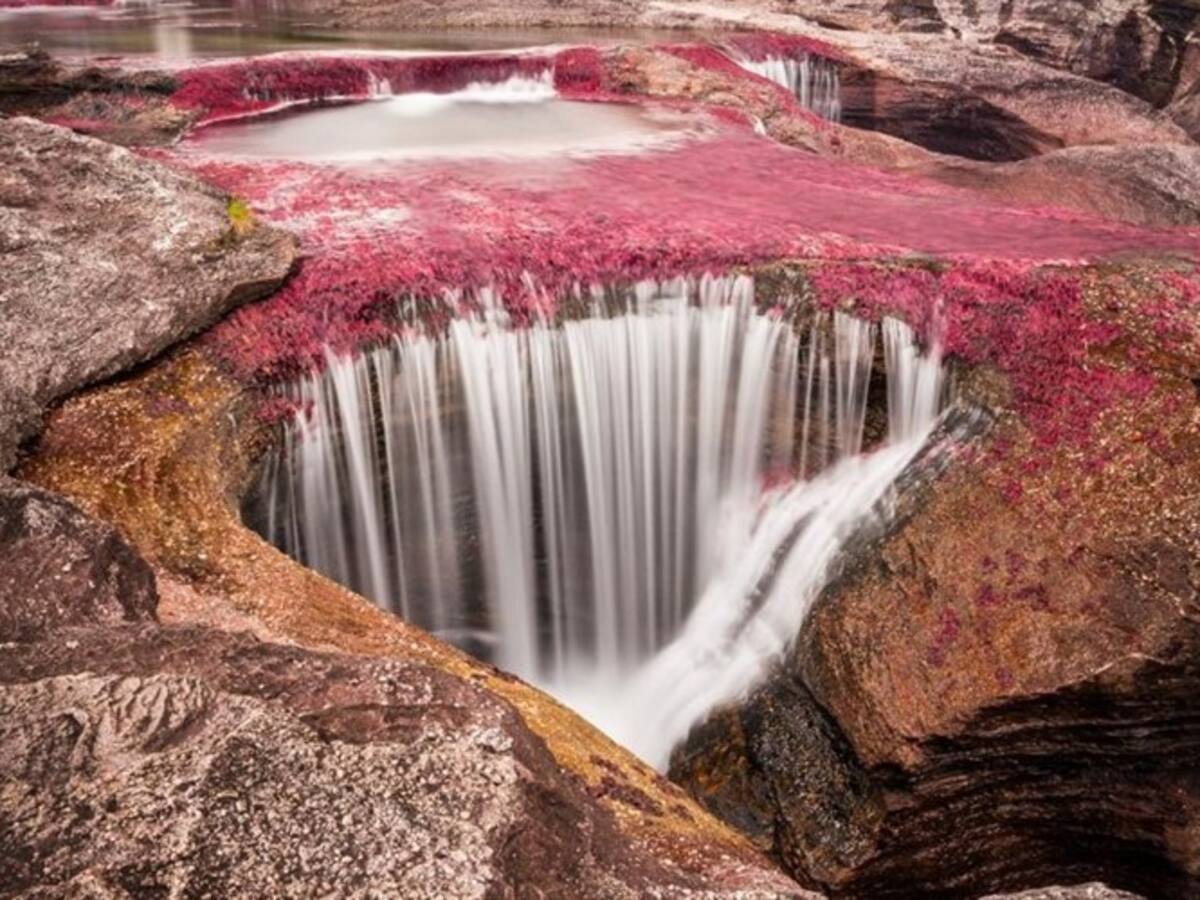 Caño Cristales reabre sus puertas al ecoturismo