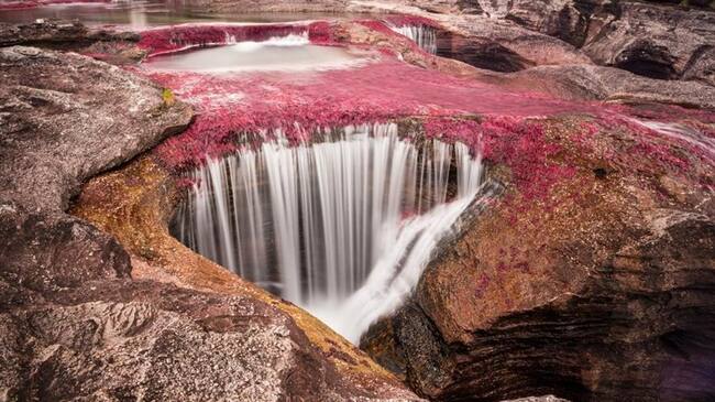 El Río de los Siete Colores cuenta con 10 senderos ecoturísticos compartidos y administrados por las dos autoridades ambientales. Foto: Caño Cristales - Ministerio de Comercio