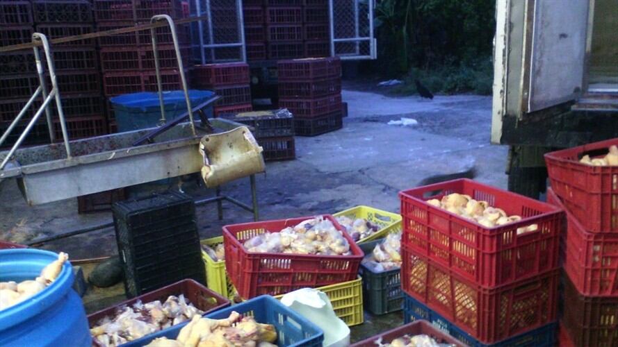 Autoridades lograron la incautación de 7.700 kilos de queso y 1.000 kilos de carne. Foto: Colprensa