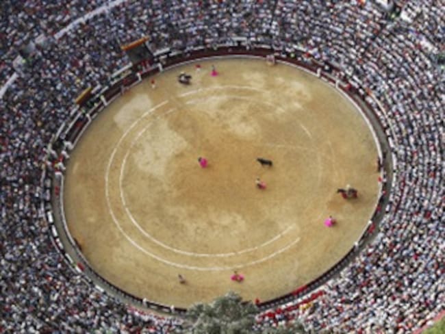 &#039;Suspender las corridas de toros está respaldada legal y constitucionalmente&#039;: Alcaldía