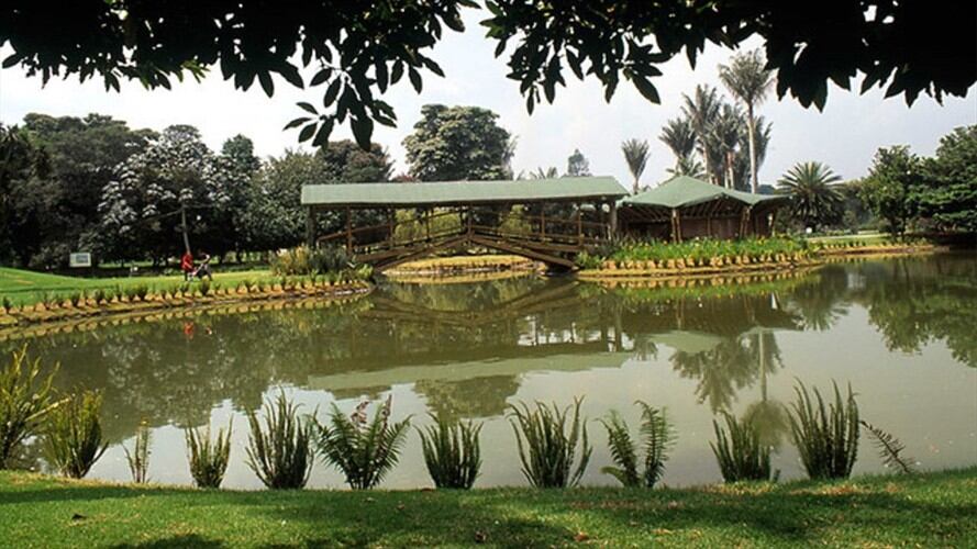 Jardín Botánico de Bogotá . Foto: Colprensa