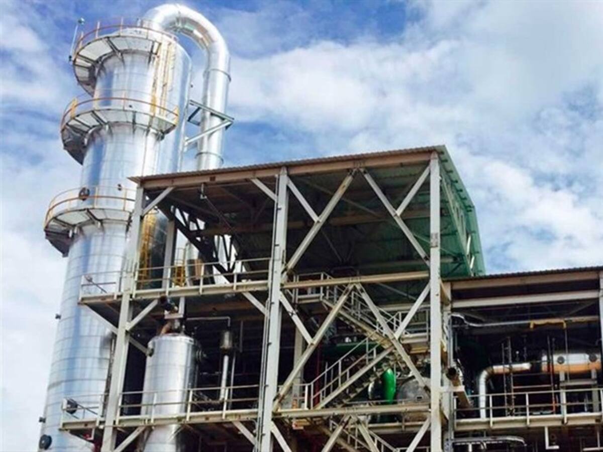 Procuraduría formulará pliego de cargos contra 12 exdirectivos de Bioenergy