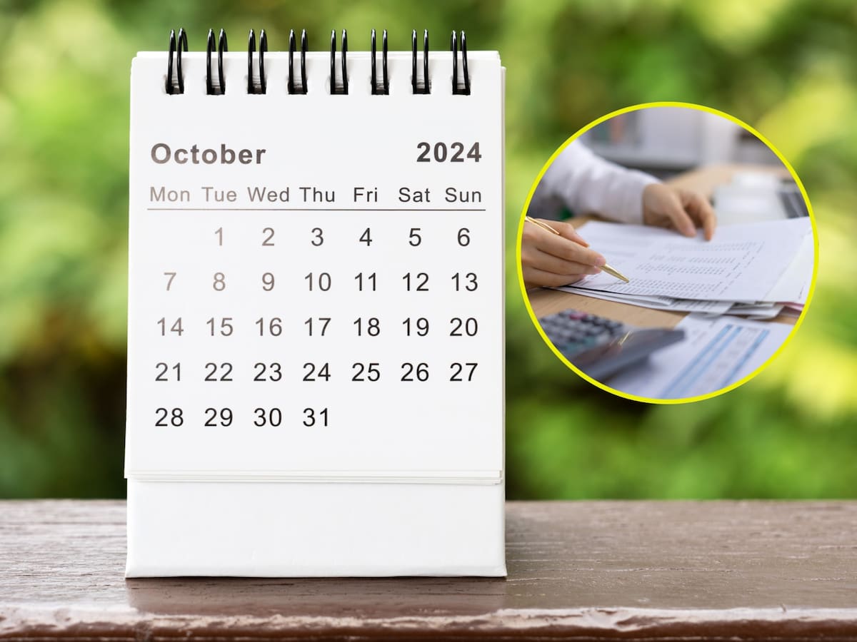 Personas naturales que declaran renta en octubre 2024, según calendario de la DIAN
