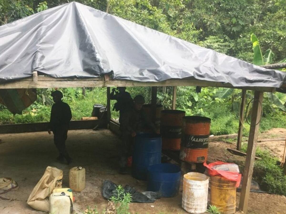 Autoridades destruyen seis laboratorios para el procesamiento de coca en Córdoba