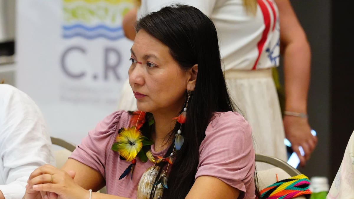 MinAmbiente negó su salida de la cartera