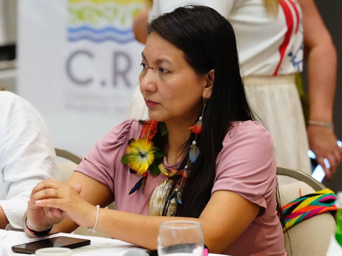 MinAmbiente negó su salida de la cartera