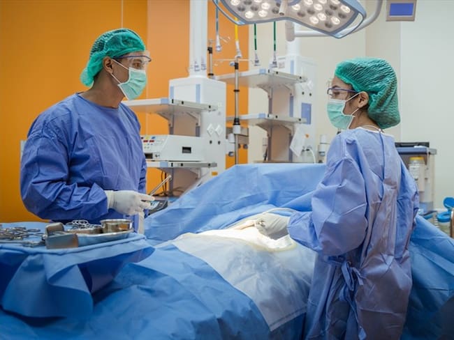 Científicos de Univalle desarrollaron dispositivo para conservar órganos para trasplante