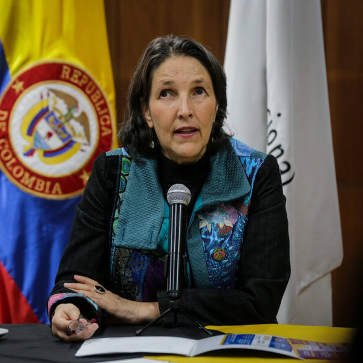 “Nos dijo que éramos unos paramilitares”: víctima de la Policía denuncia a María Gaitán