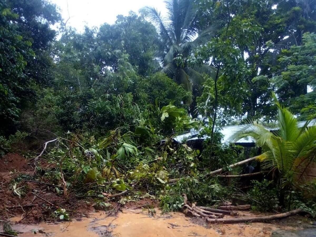 Cerca de 115 familias damnificadas deja avalancha de quebrada en Puerto Libertador