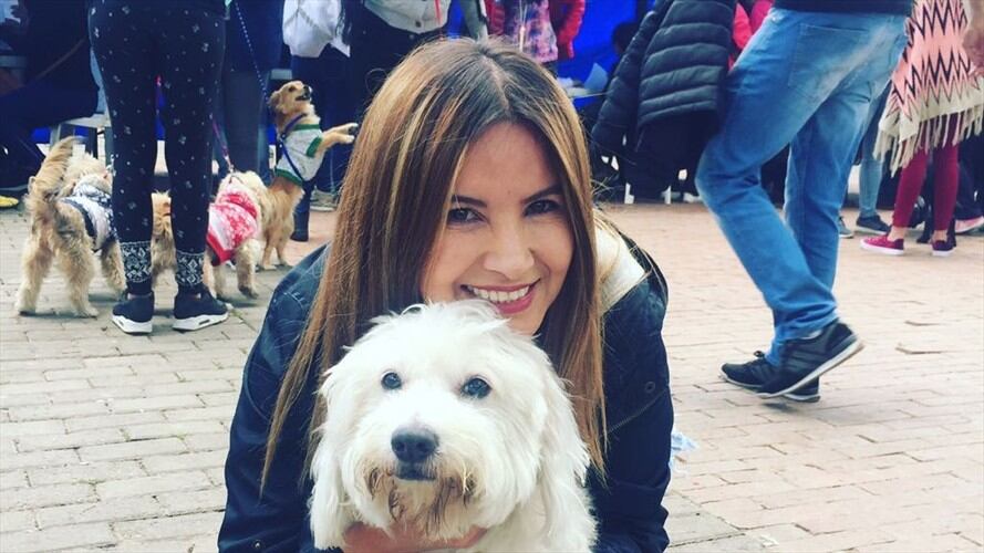 Este fin de semana habrá jornada de adopción en la ciudad. Foto: Instituto de protección animal