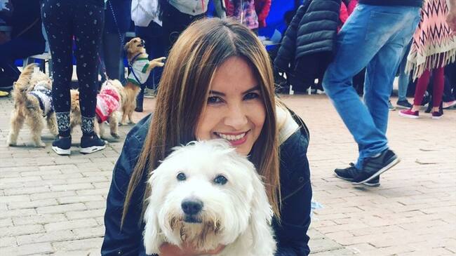 Este fin de semana habrá jornada de adopción en la ciudad. Foto: Instituto de protección animal