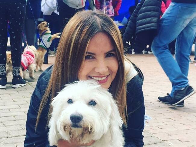 Este fin de semana habrá jornada de adopción en la ciudad. Foto: Instituto de protección animal