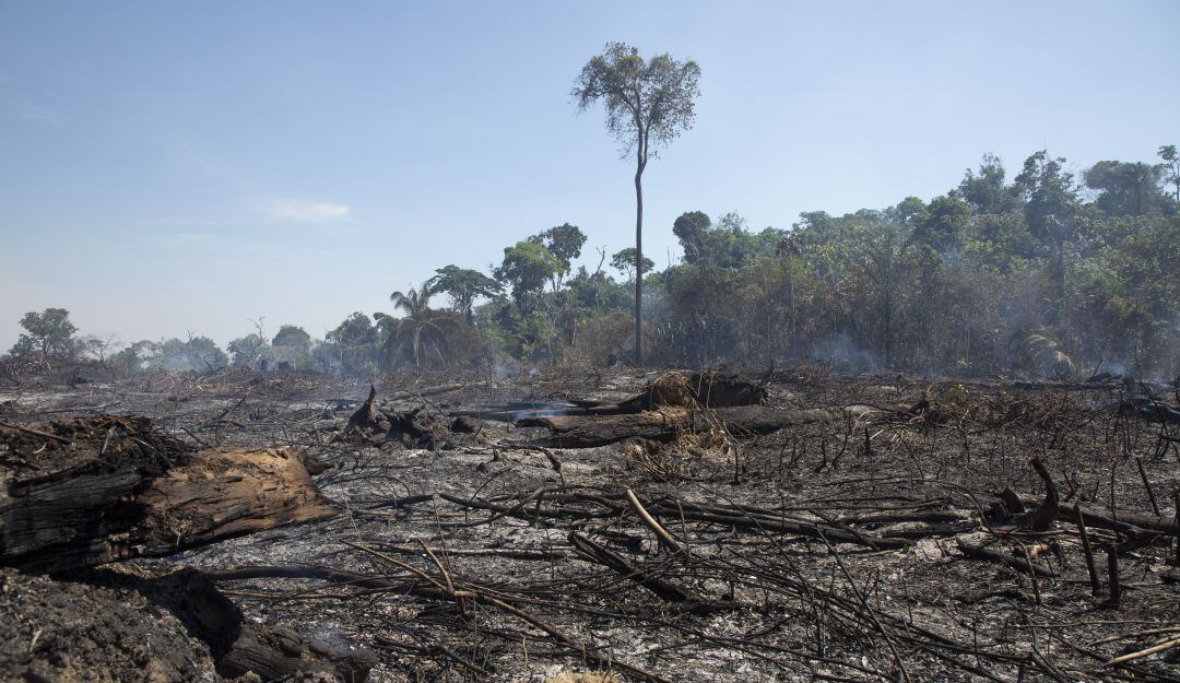 Deforestación Selva Amazónica 