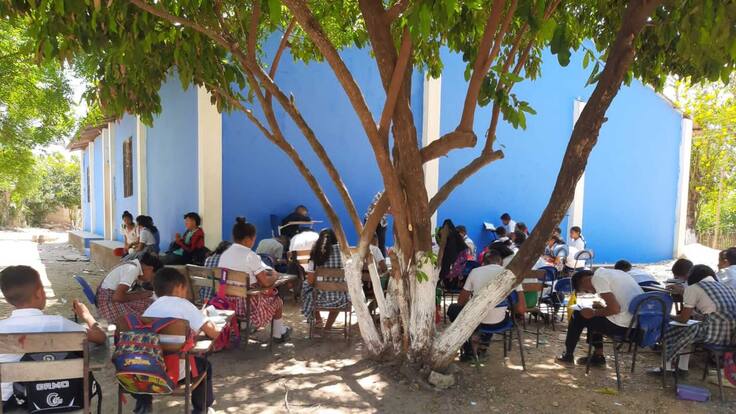 Niños de Bermejal, en San Zenón Magdalena, reciben clases debajo de un árbol