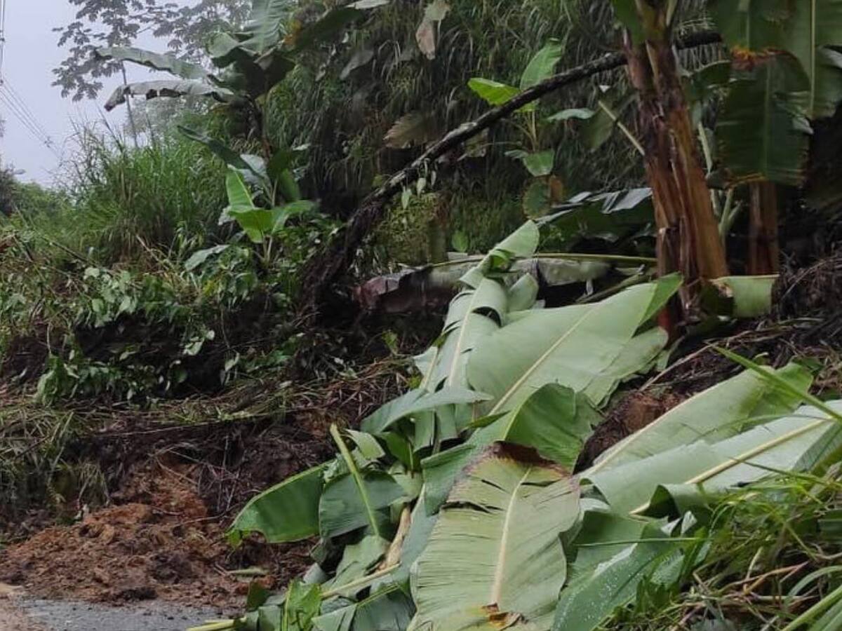 Un campesino perdió la vida por un deslizamiento de tierra en Marquetalia, Caldas