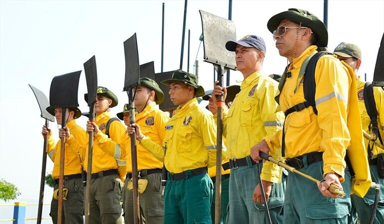. para combatir incendios forestales en Cali